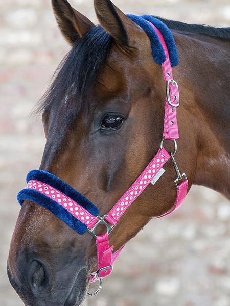 CABEZADA CUADRA WALDHAUSEN ROSA GLITTER FULL